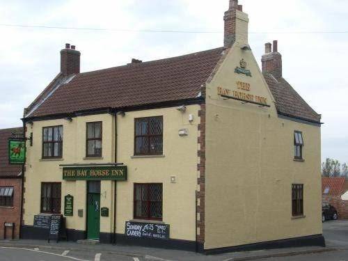 The bay horse