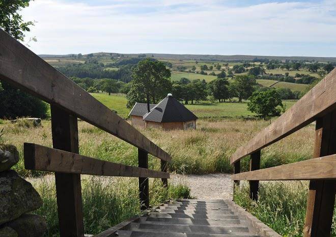 Little Seed Field Image