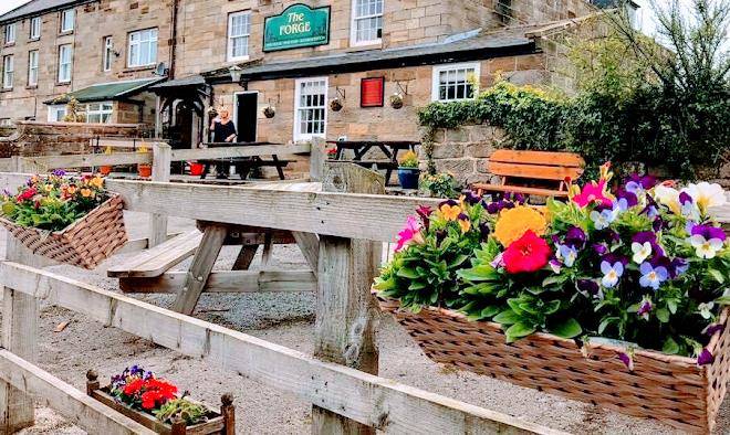The forge inn
