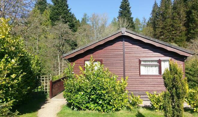 Border forest holiday park