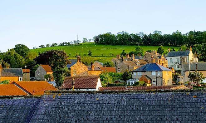 Cheviot view