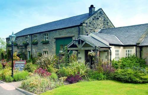 Innkeeper's Collection Snowy Owl Image