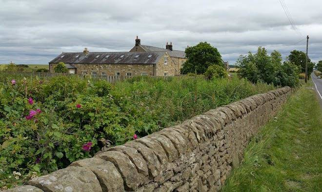 Robin hood inn