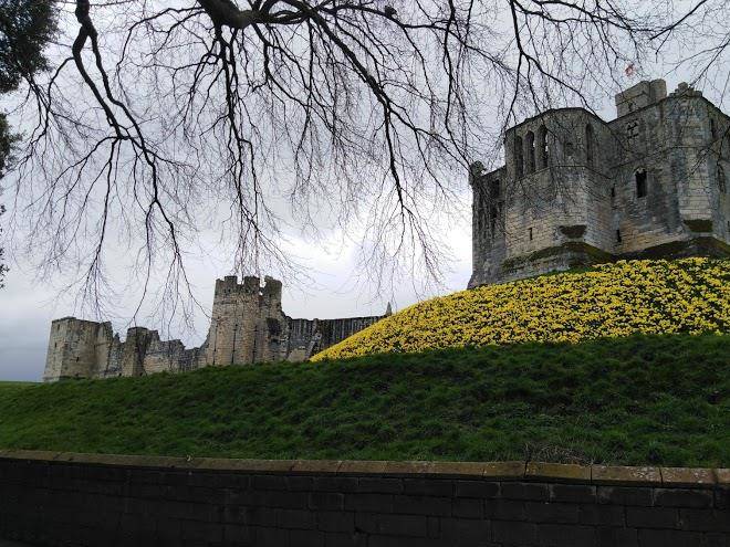 The Bridges B&b Image