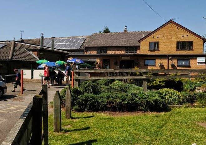 Hog's head hotel
