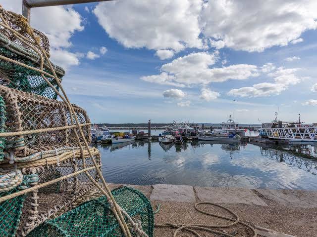 Castle lanes holiday property