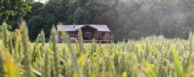 Lantern & larks exton glamping site