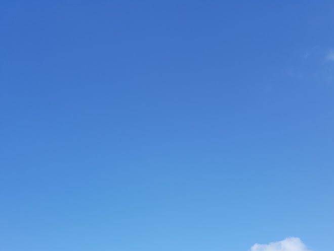 The barnsdale hotel restaurant