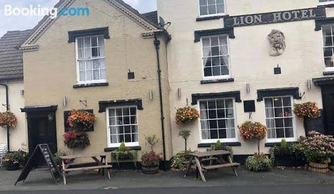 Lion hotel