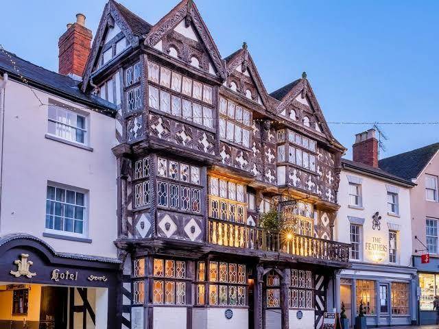 The feathers hotel