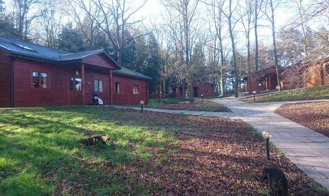 Woodland Park Lodges Image