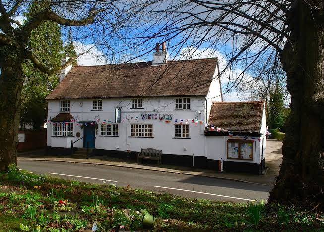 The white lion