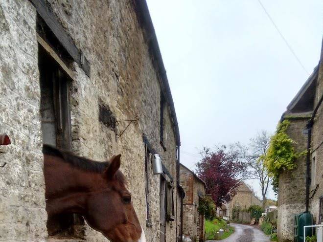 Eden vale farm