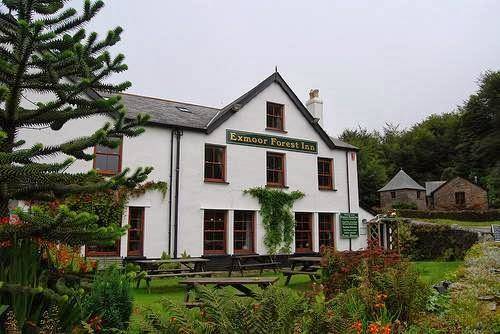 The exmoor forest inn