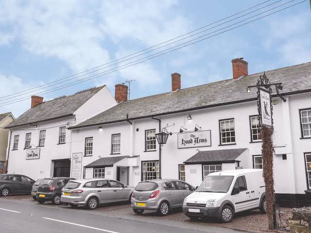 The hood arms