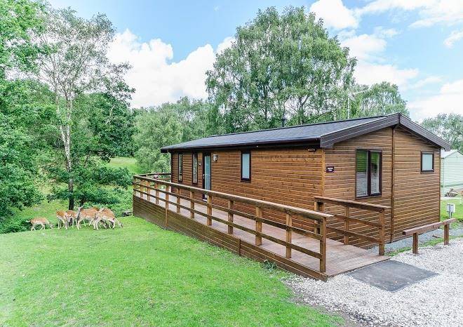 Silver trees holiday park