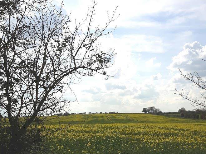 Syerscote meadow caravan and campsite