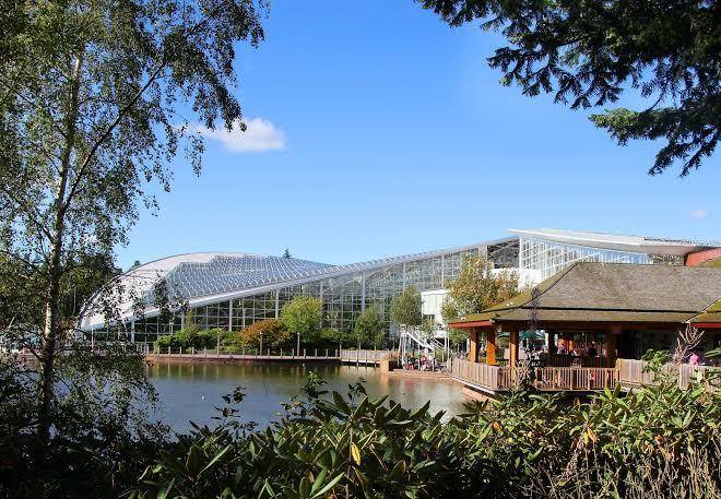 Center parcs elveden forest
