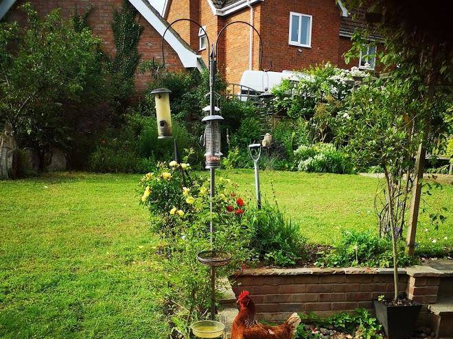 Snape b&b