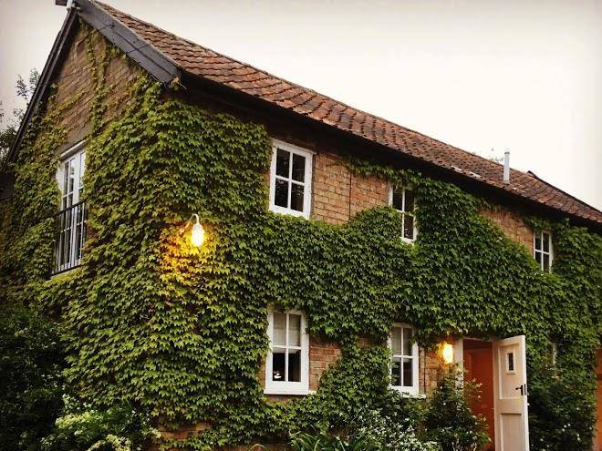 The kings head