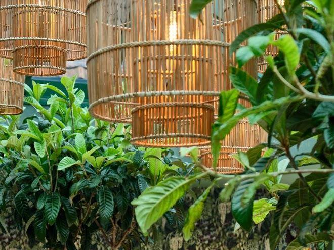 The Westleton Crown Image