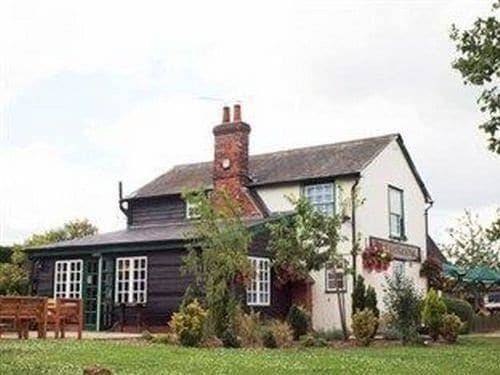 The white horse