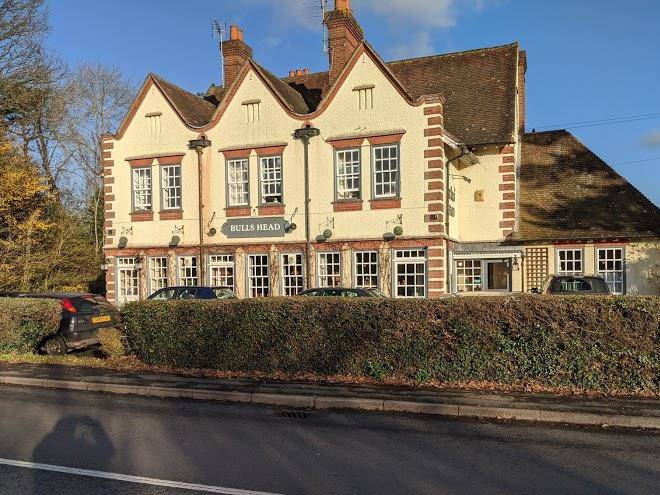 Bulls head