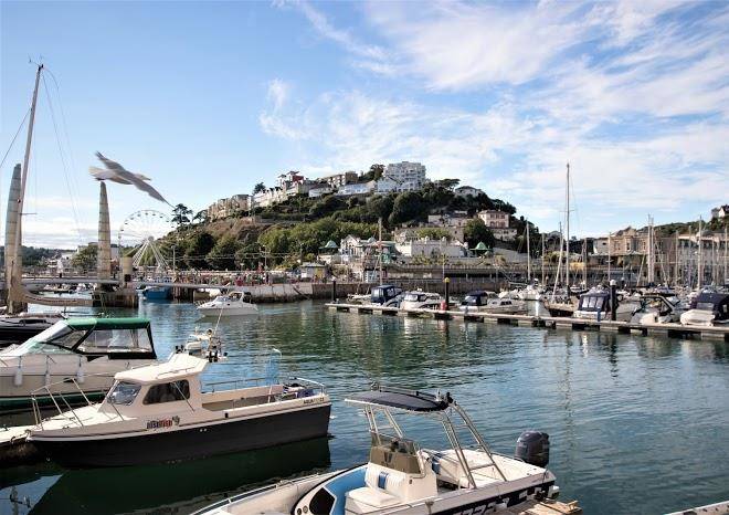 The rosewood torquay