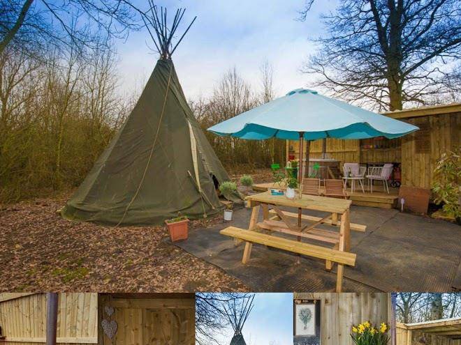 Toasty tipis