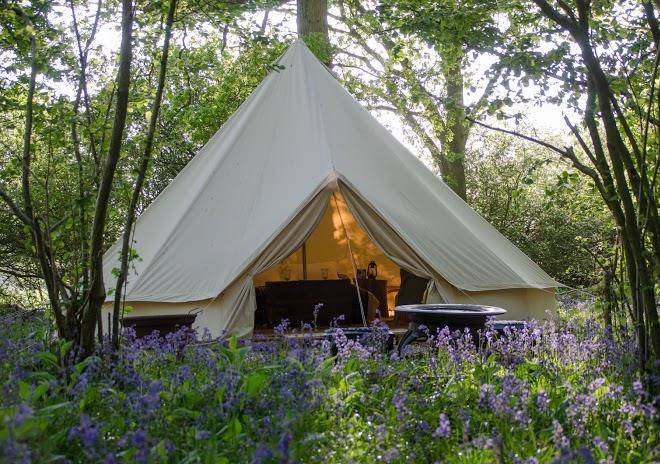 Knepp wildland safaris