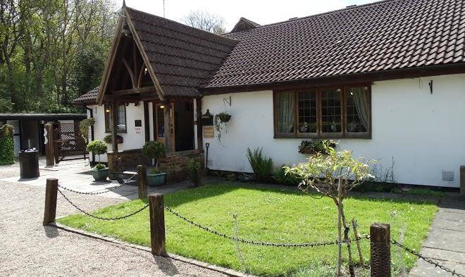 Little foxes hotel