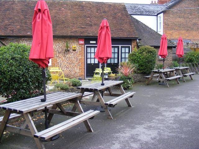 The bull's head