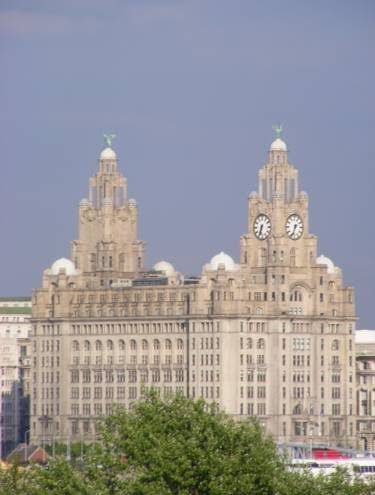 The liver view hotel