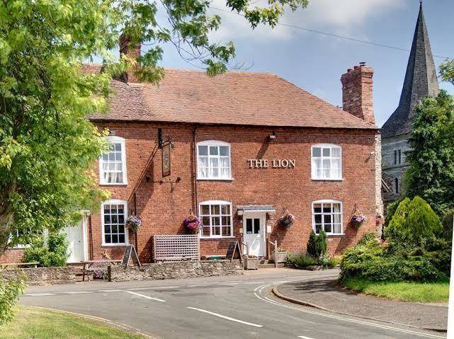 The lion hotel
