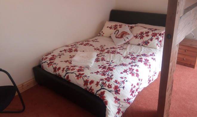 The Friendly Horse Image