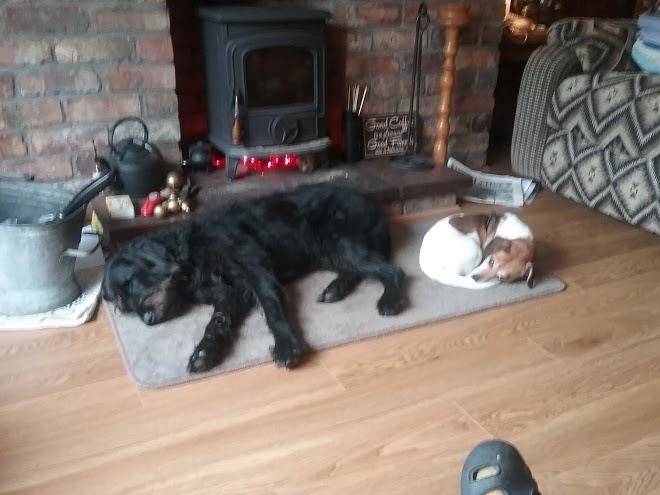 Beechmount farm b&b