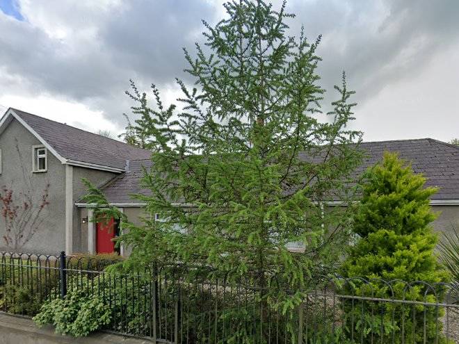 Clenbelle bed and breakfast