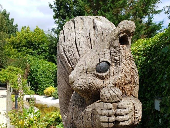 Carnfunnock Country Park Image