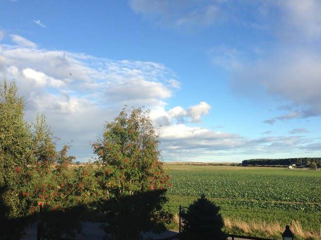 Eskview farm