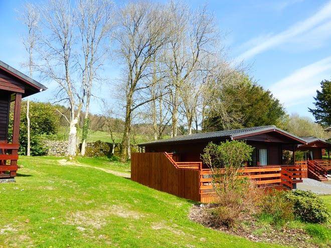 Conifer lodges