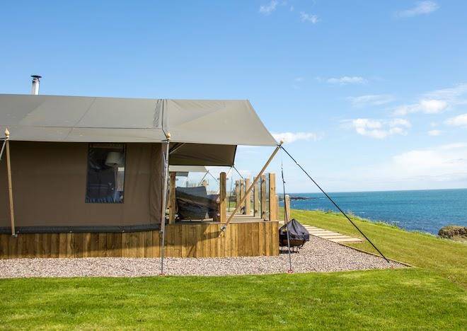 Catchpenny safari lodges