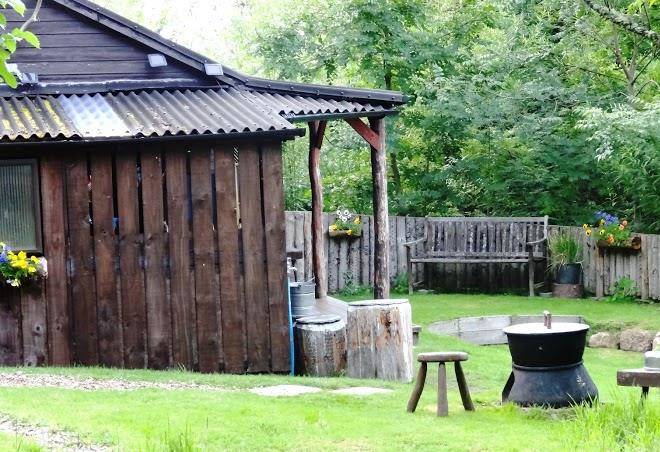 Old pine yurt