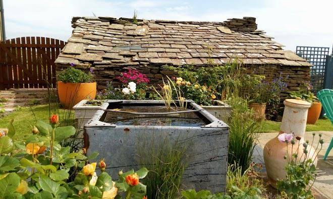 The garden quoy puffin quoy 5 star self catering