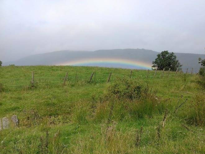 Loch Tay Lodges Image