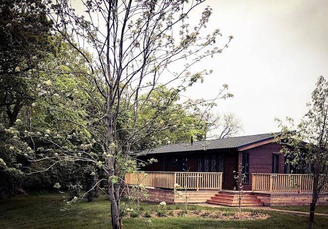 Colania dene
