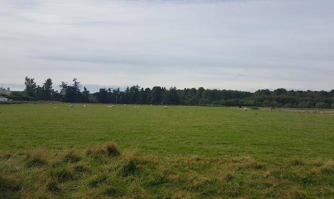 Mounthooly haugh