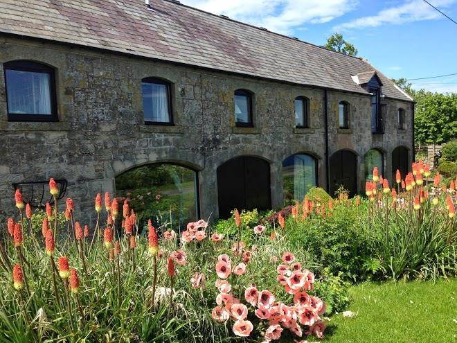 Slow sheep b&b