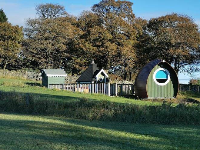 The rowan pod