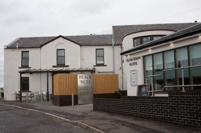 The black bull