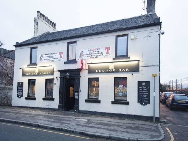 The bay horse